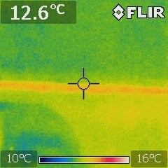 Active Termites Thermal image